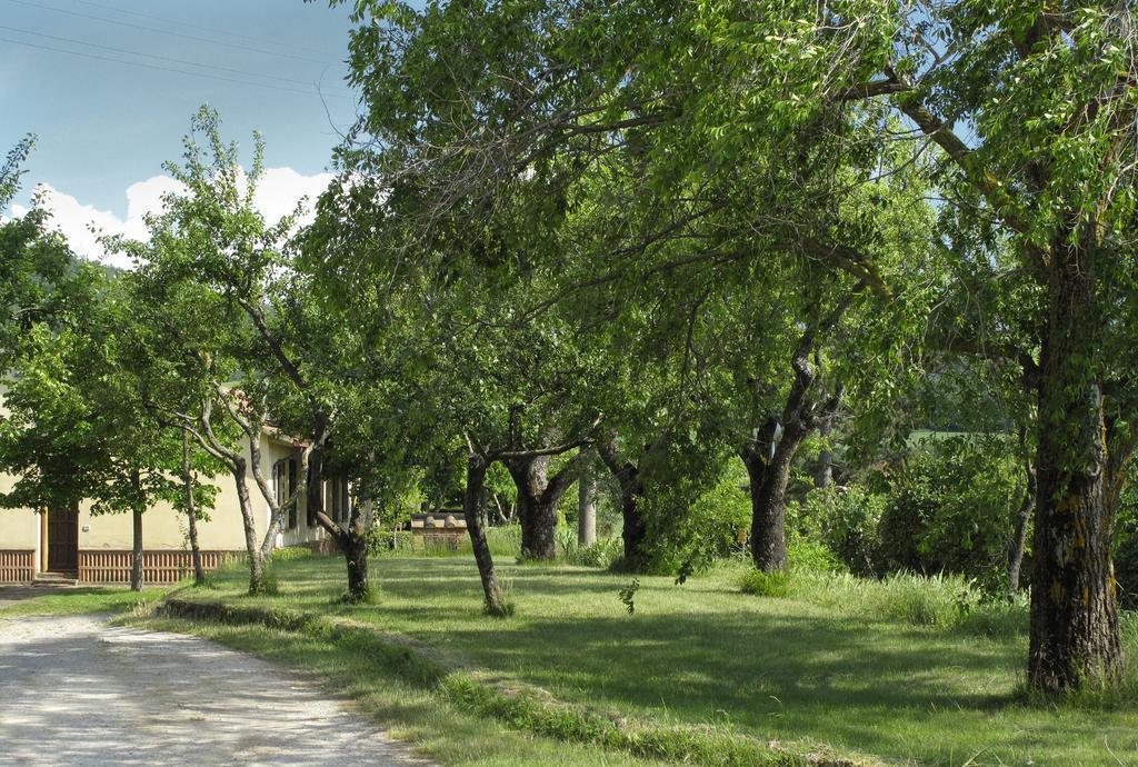 Agriturismo Il Casalone Montepulciano Bagian luar foto